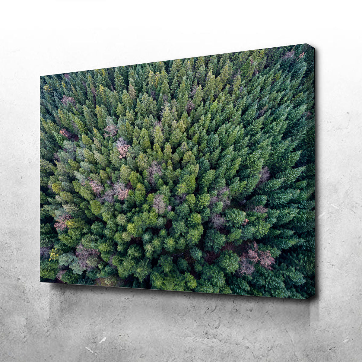 Pointy Pines Wall Art