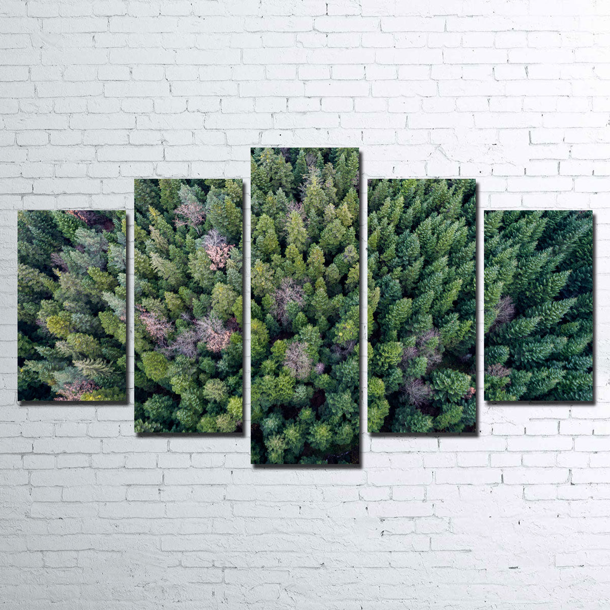 Pointy Pines Wall Art