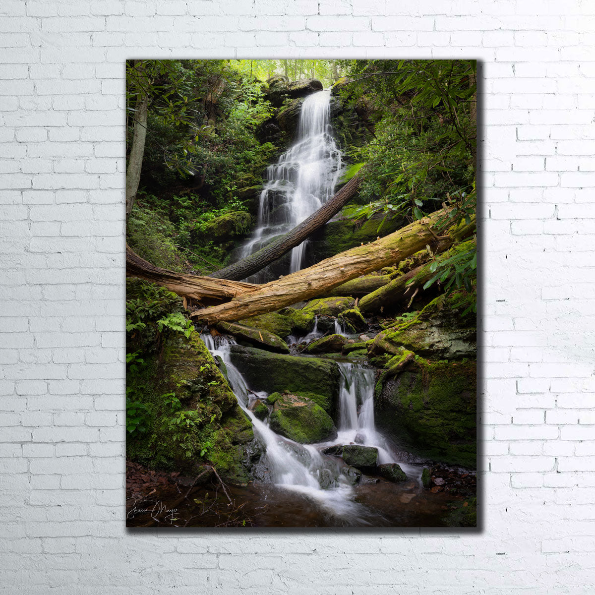 Pristine Habitat Wall Art