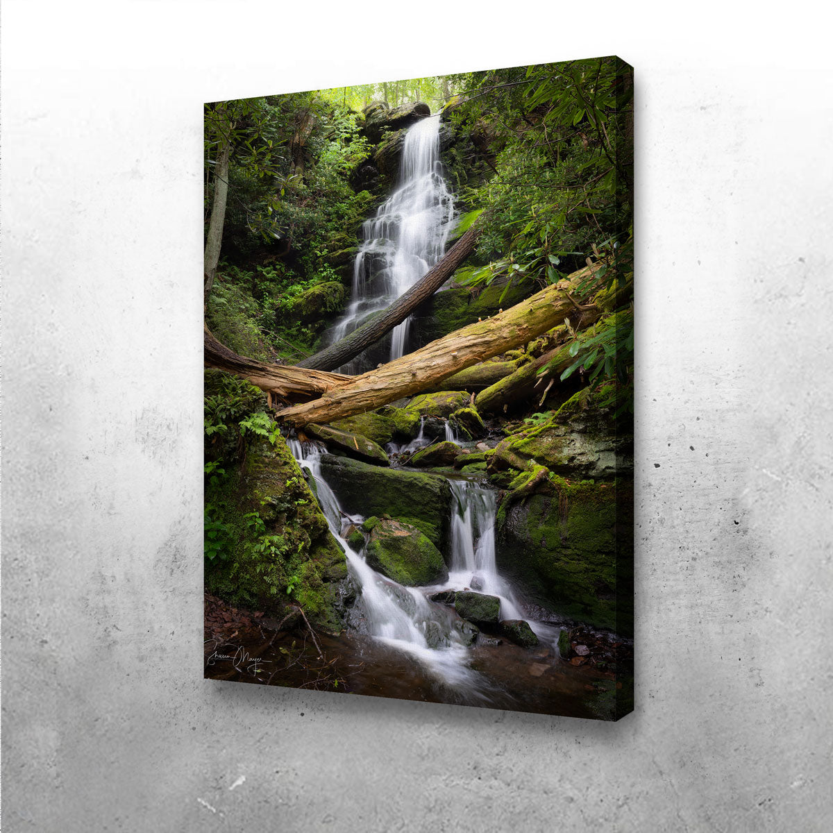 Pristine Habitat Wall Art