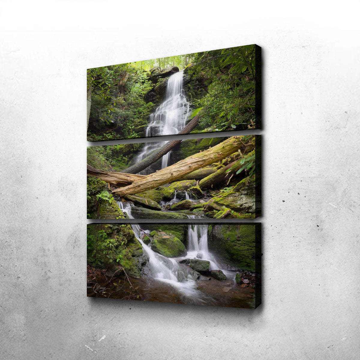 Pristine Habitat Wall Art