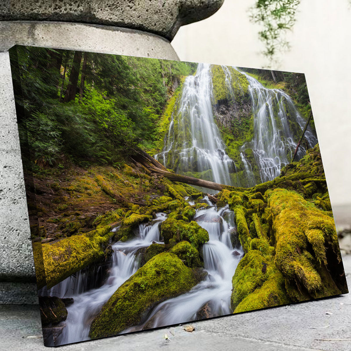 Proxy Falls Wall Art