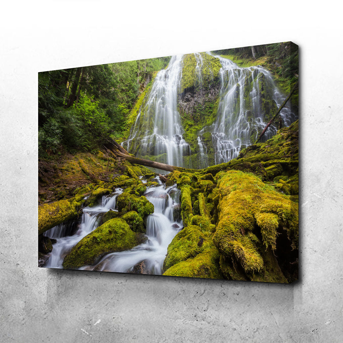 Proxy Falls Wall Art