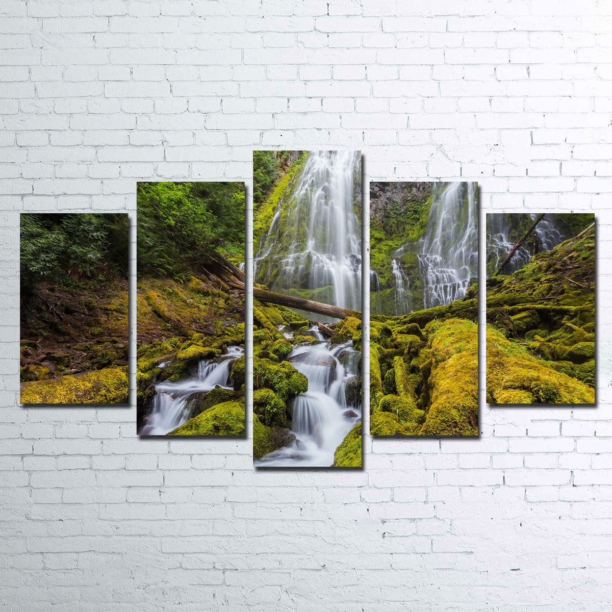 Proxy Falls Wall Art