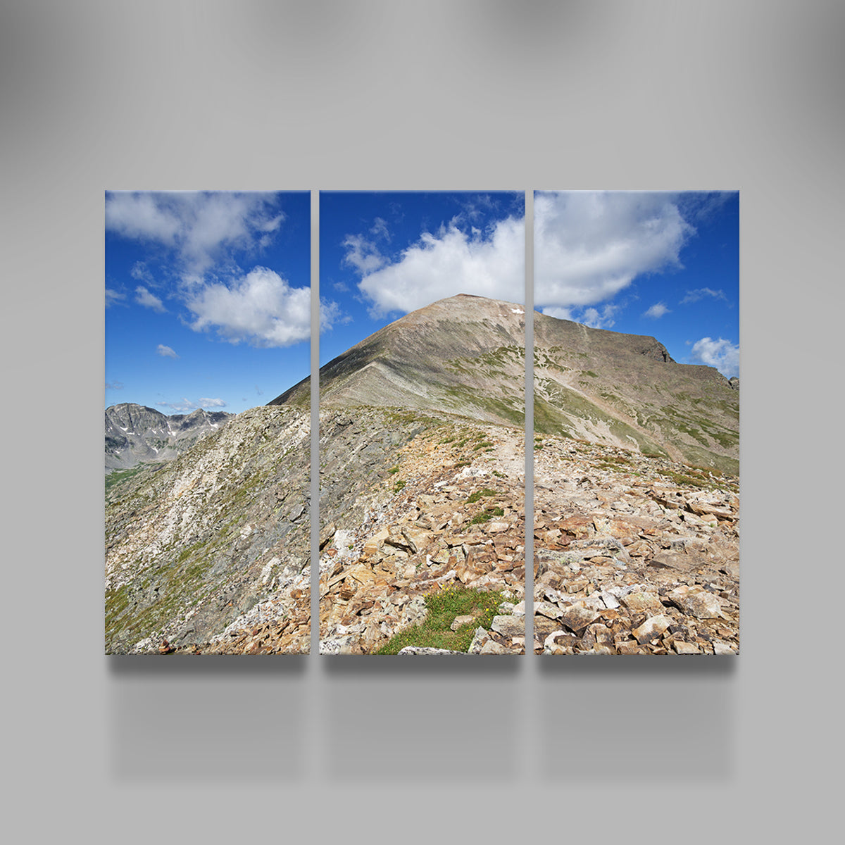 Quandary Peak Wall Art
