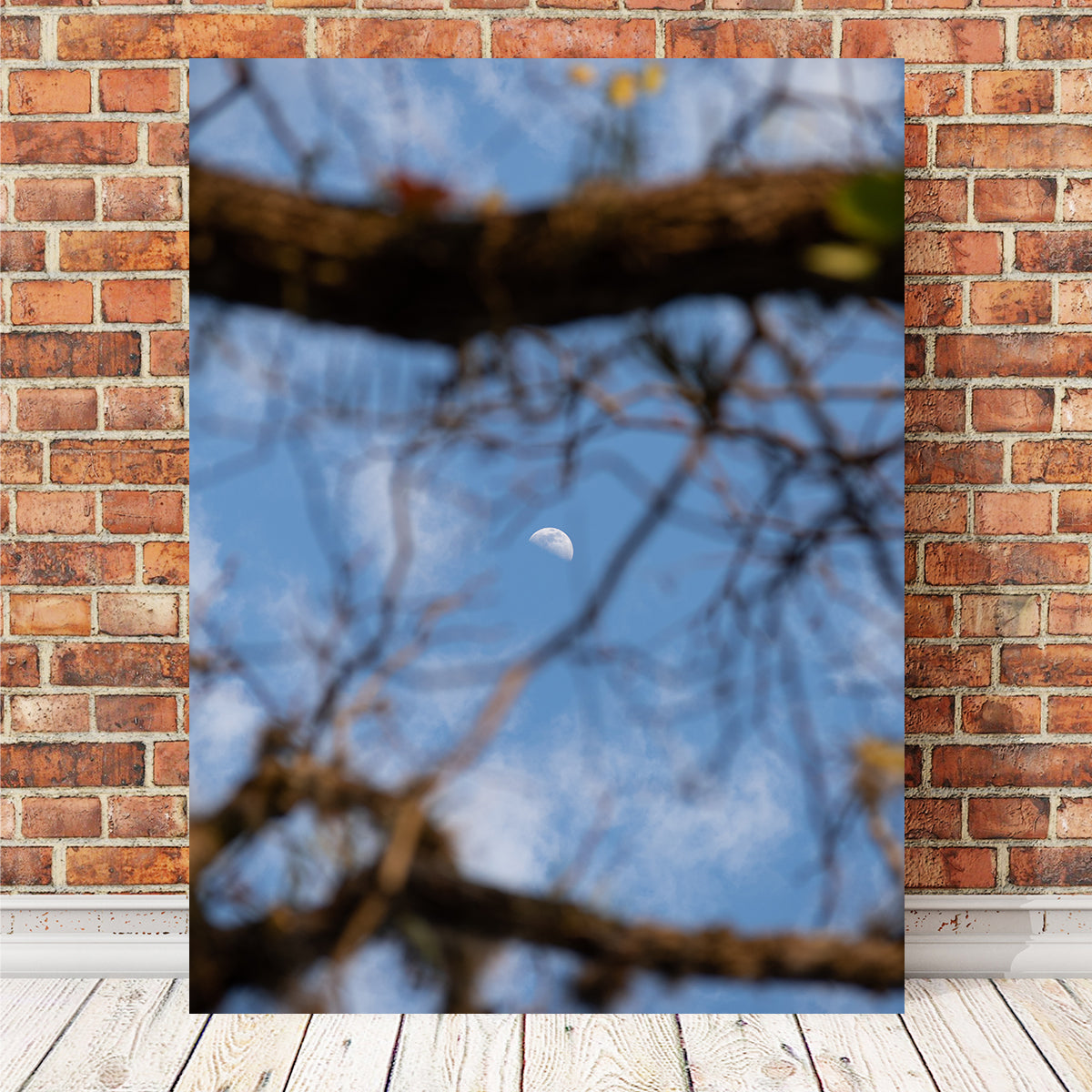 Quarter Moon Among the Tree Wall Art