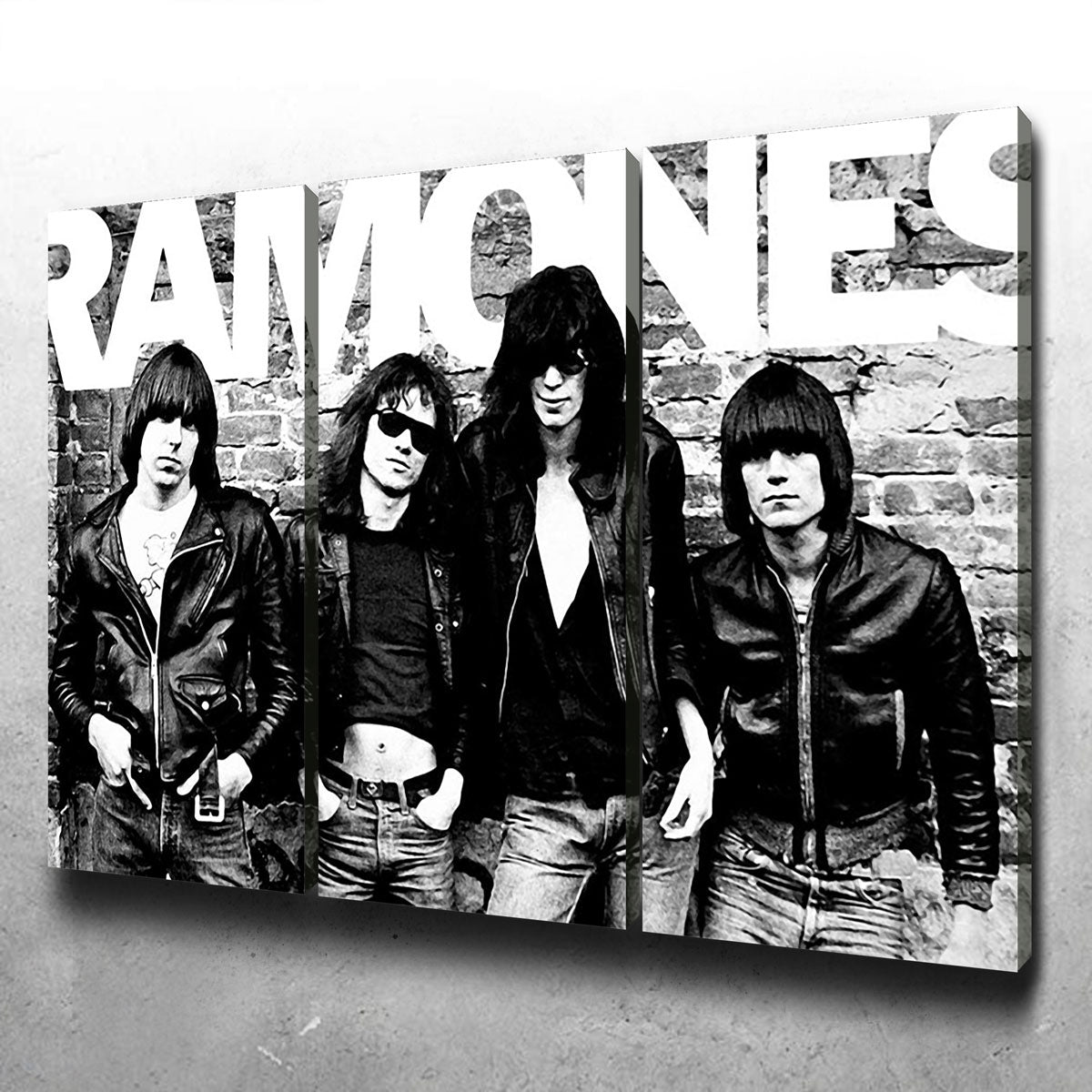 Ramones Canvas Set