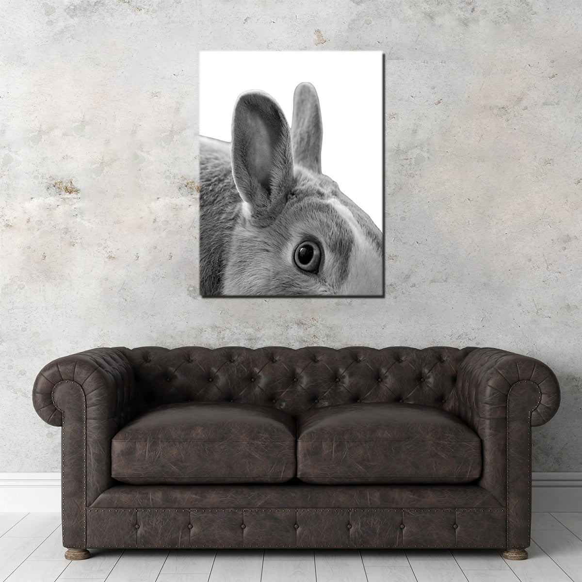 Rabbit Wall Art