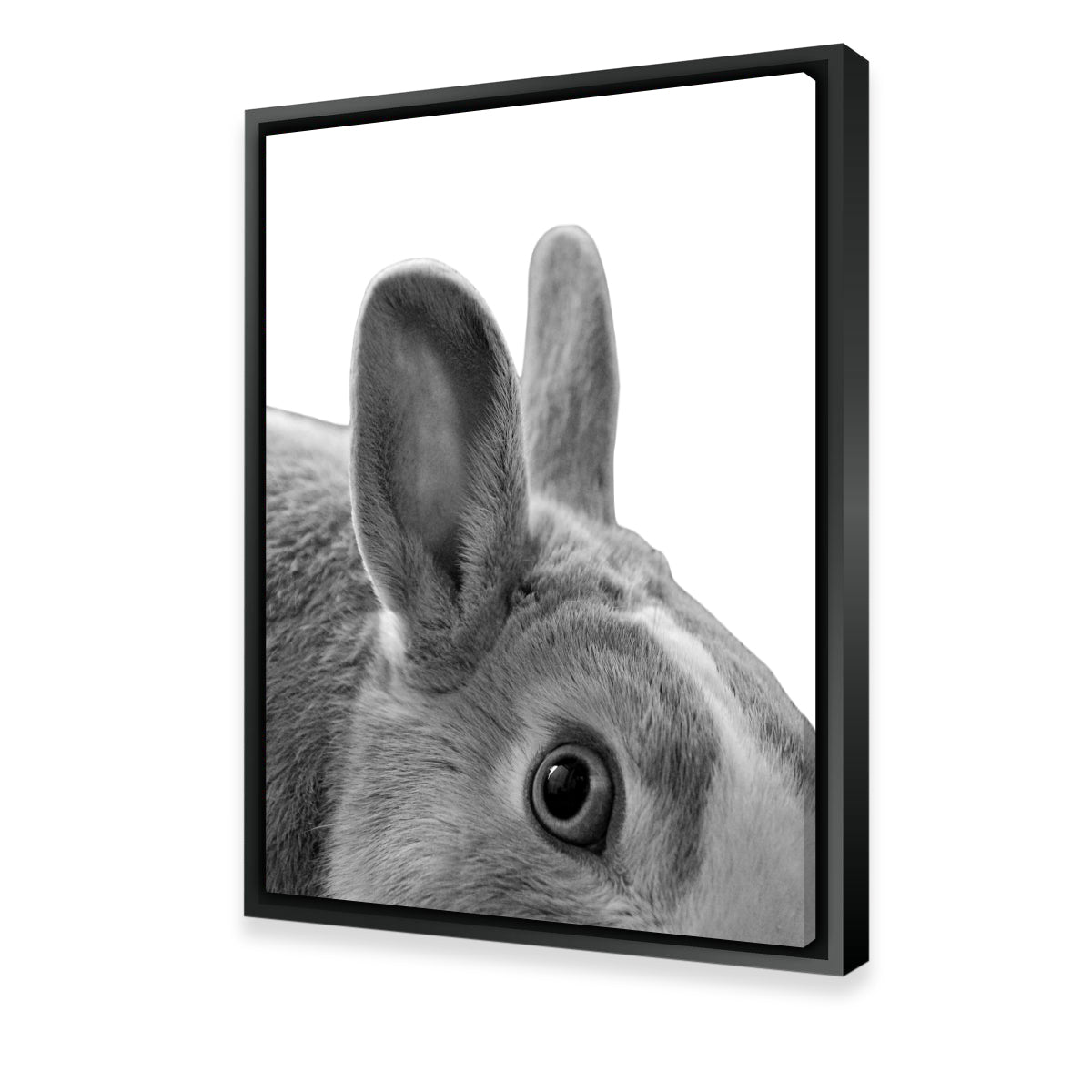 Rabbit Wall Art