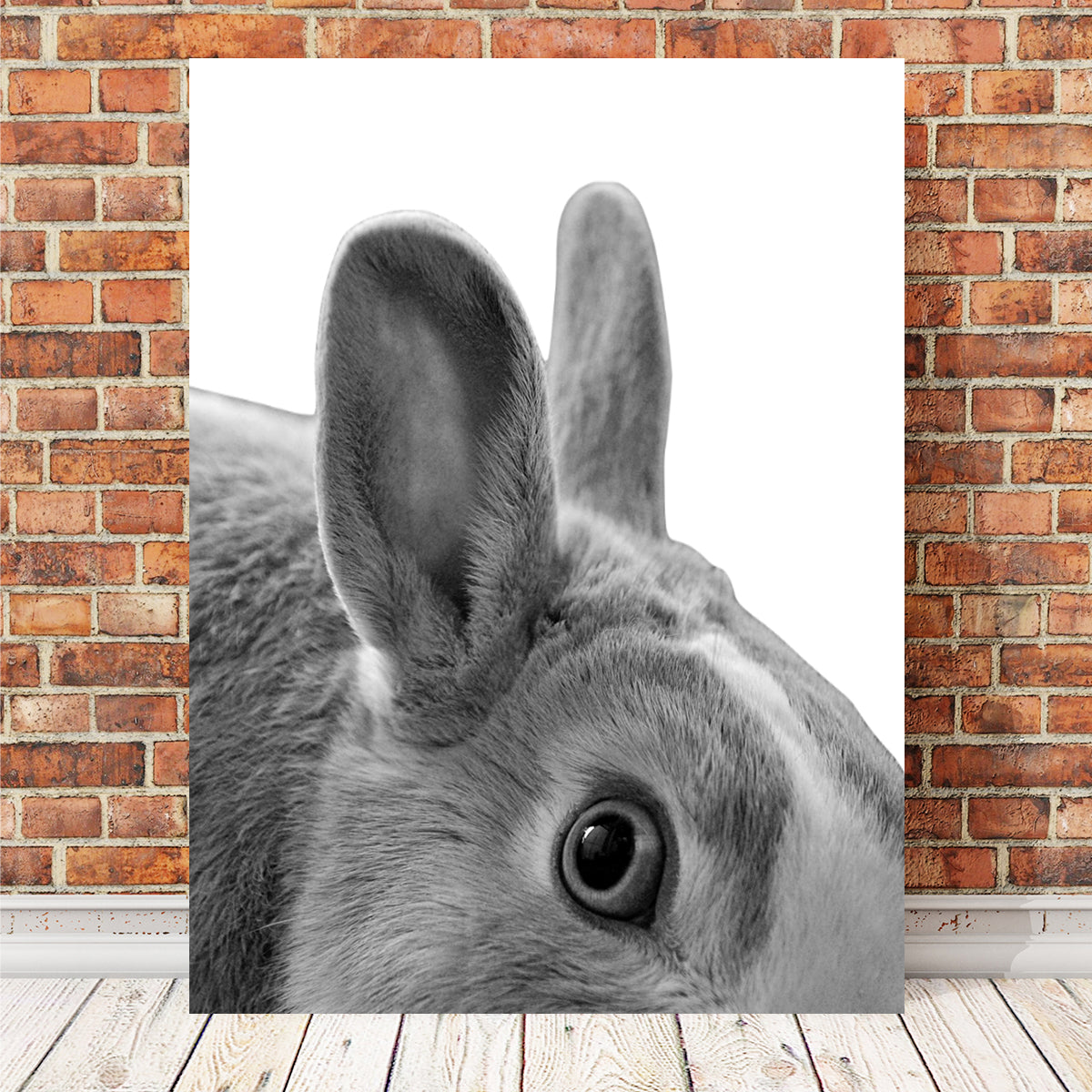 Rabbit Wall Art