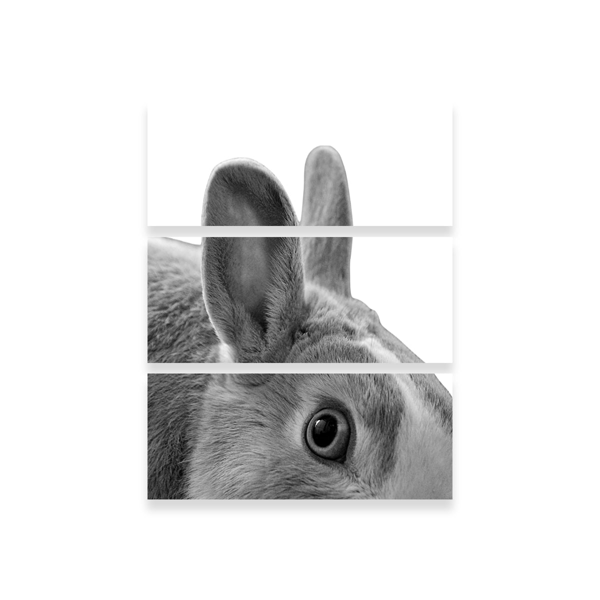 Rabbit Wall Art