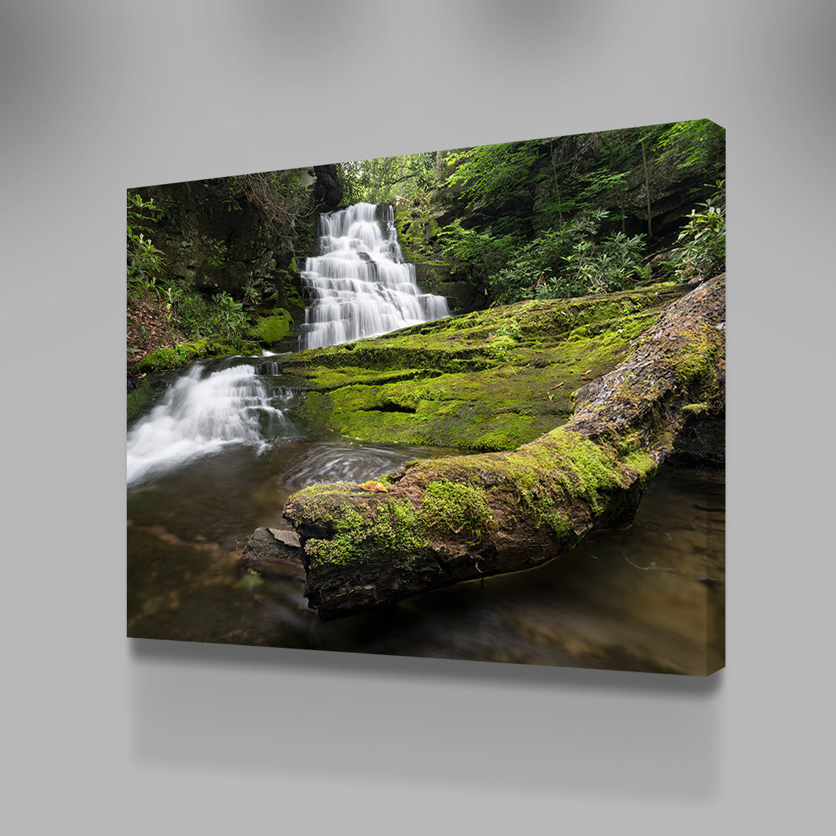 Rattlesnake Falls Wall Art