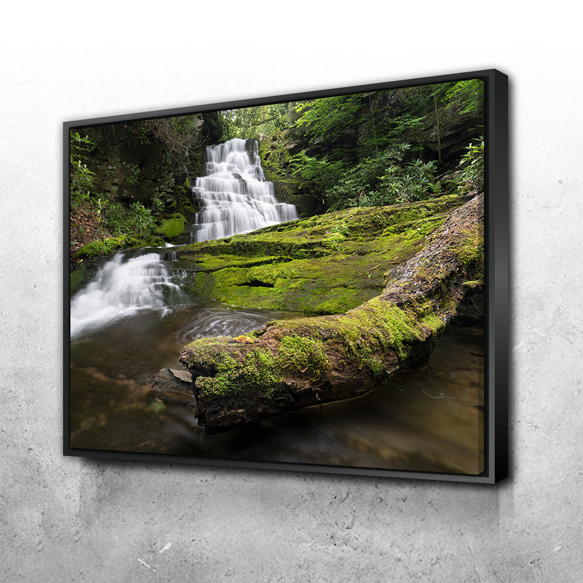 Rattlesnake Falls Wall Art