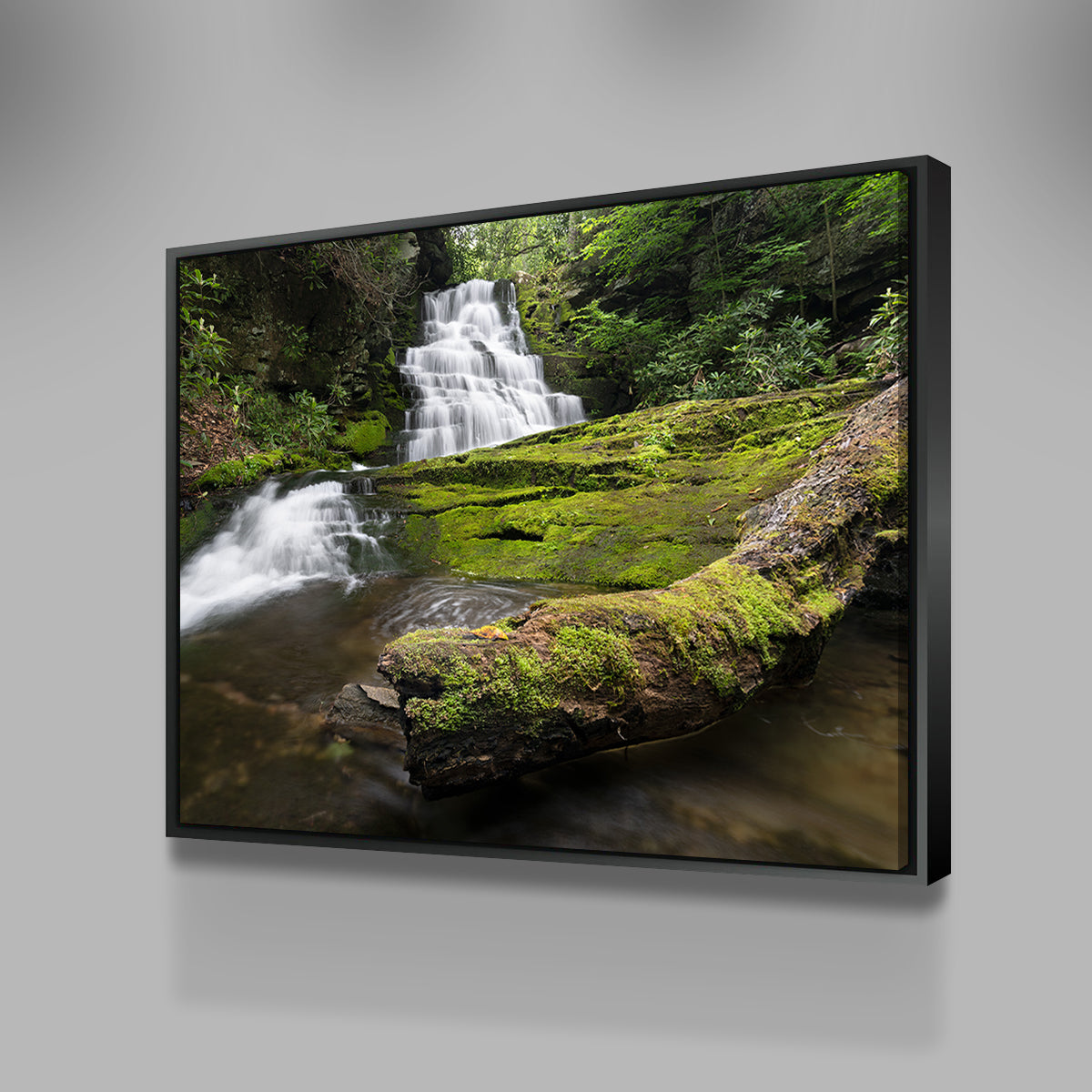 Rattlesnake Falls Wall Art