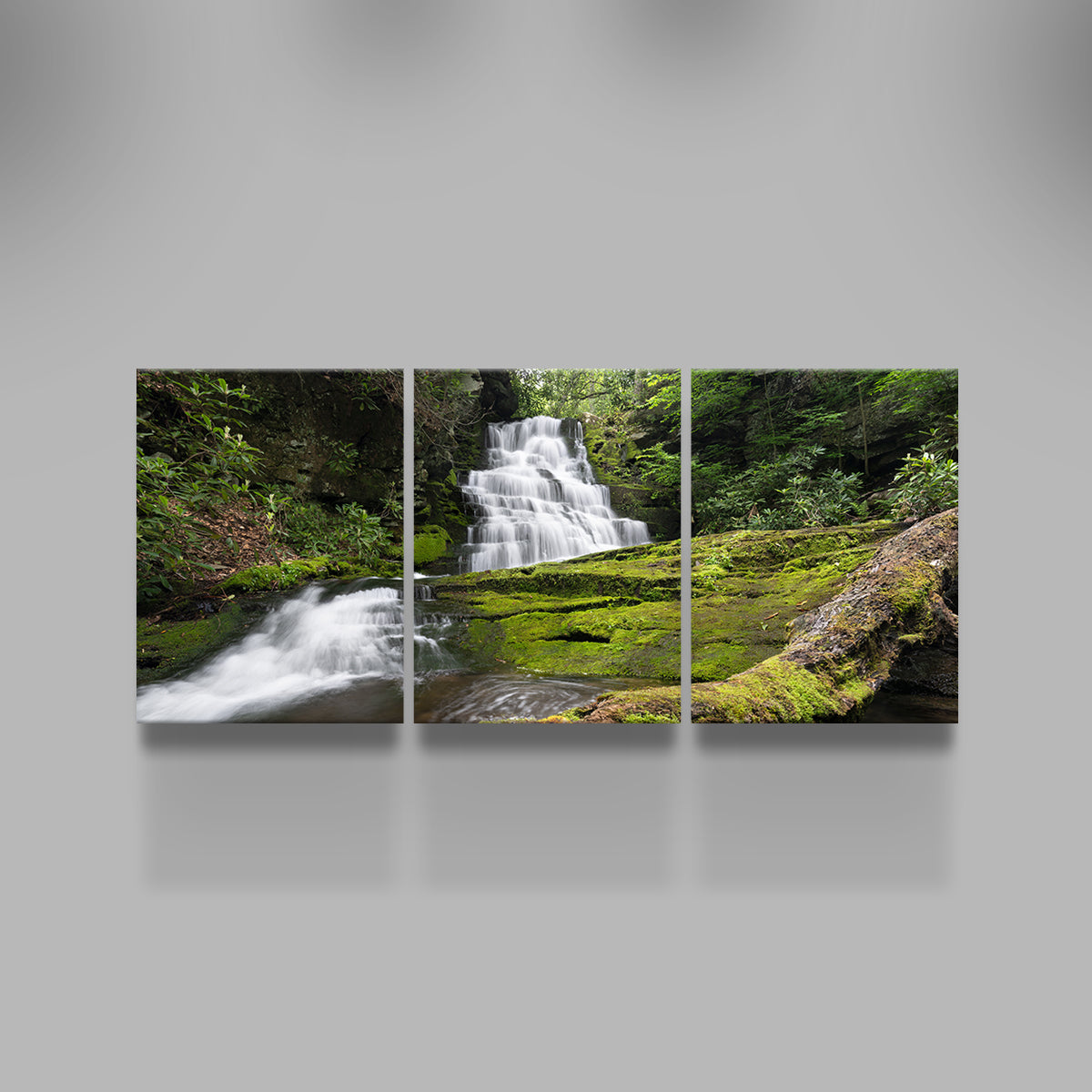 Rattlesnake Falls Wall Art