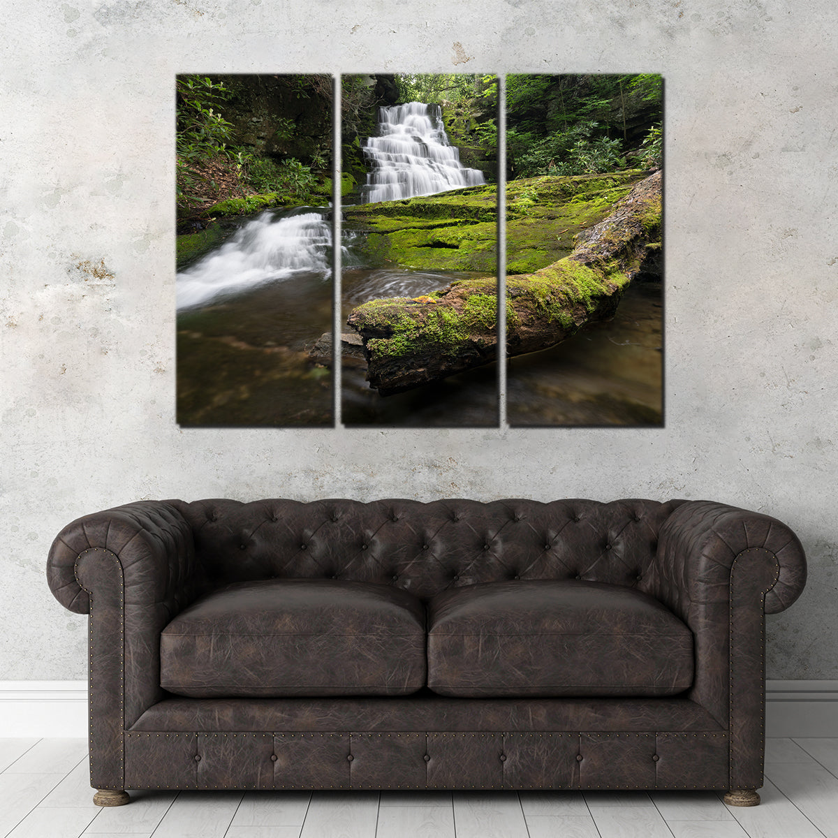 Rattlesnake Falls Wall Art
