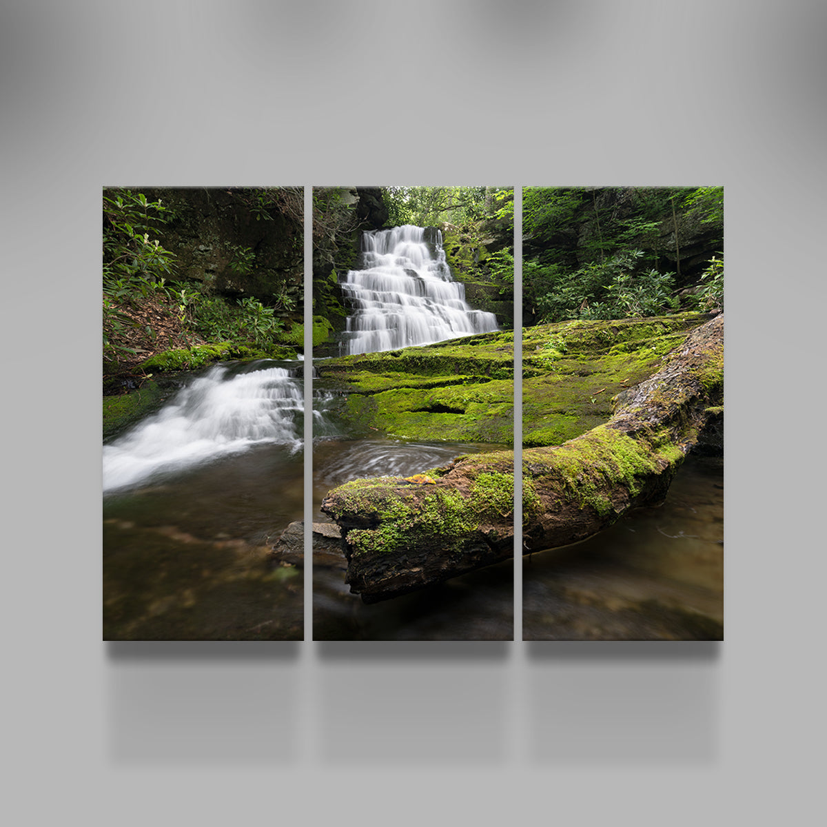 Rattlesnake Falls Wall Art