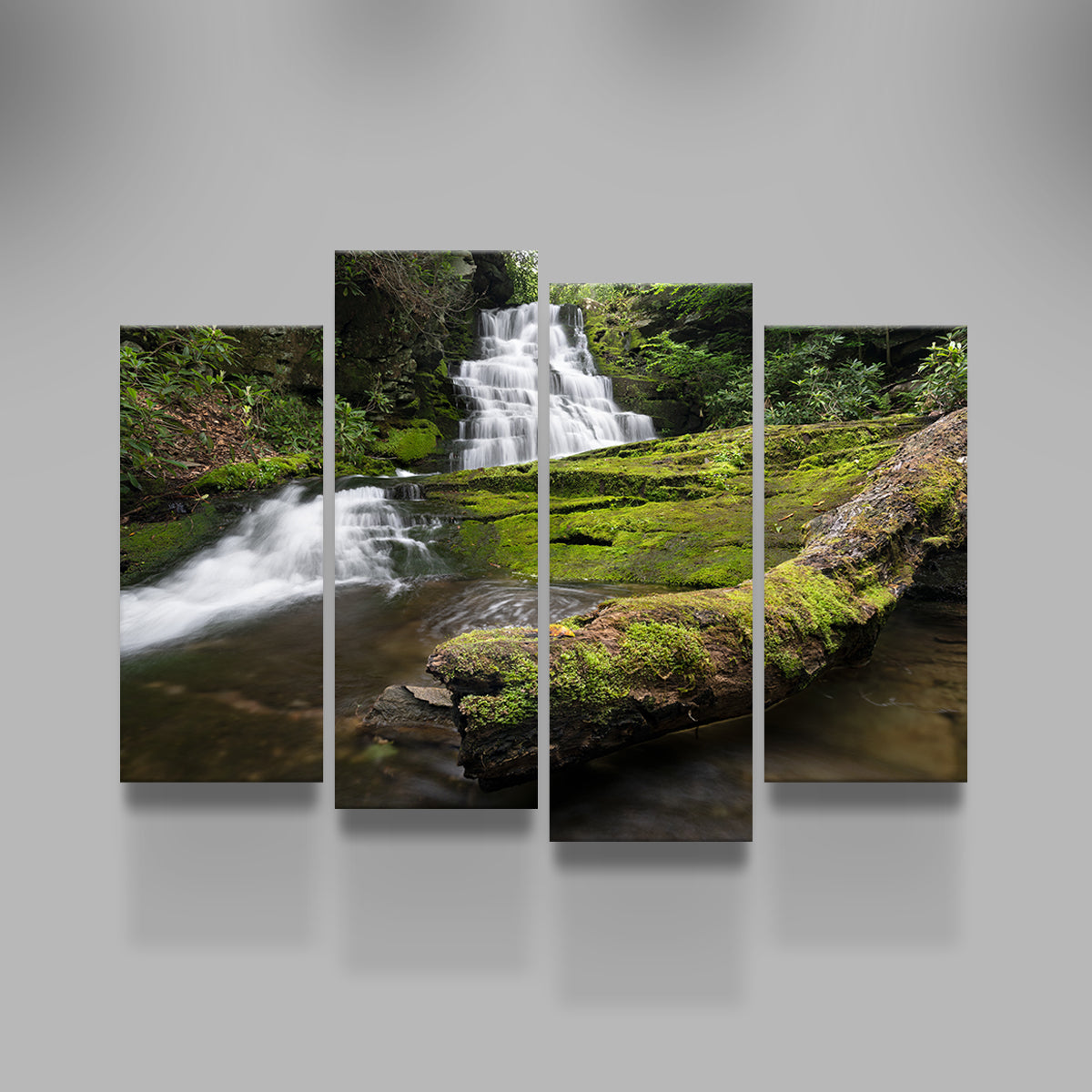 Rattlesnake Falls Wall Art