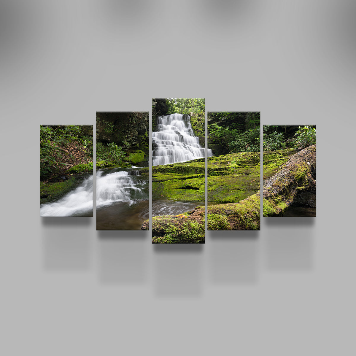 Rattlesnake Falls Wall Art