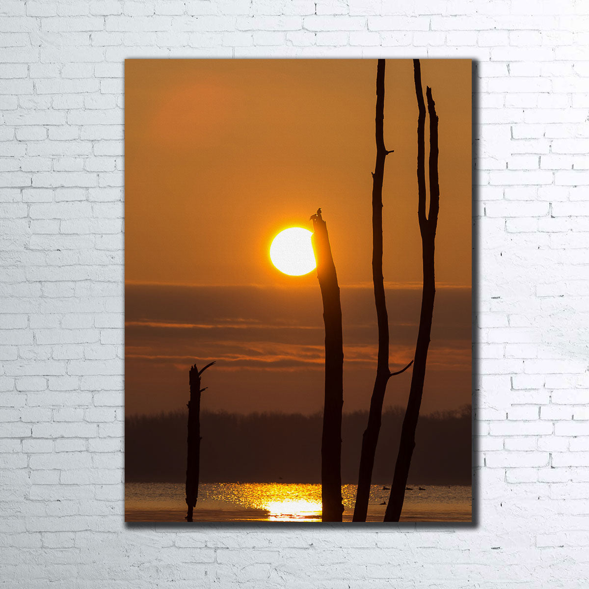 Reflective Sun Wall Art