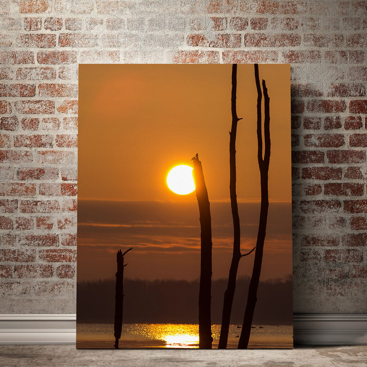 Reflective Sun Wall Art