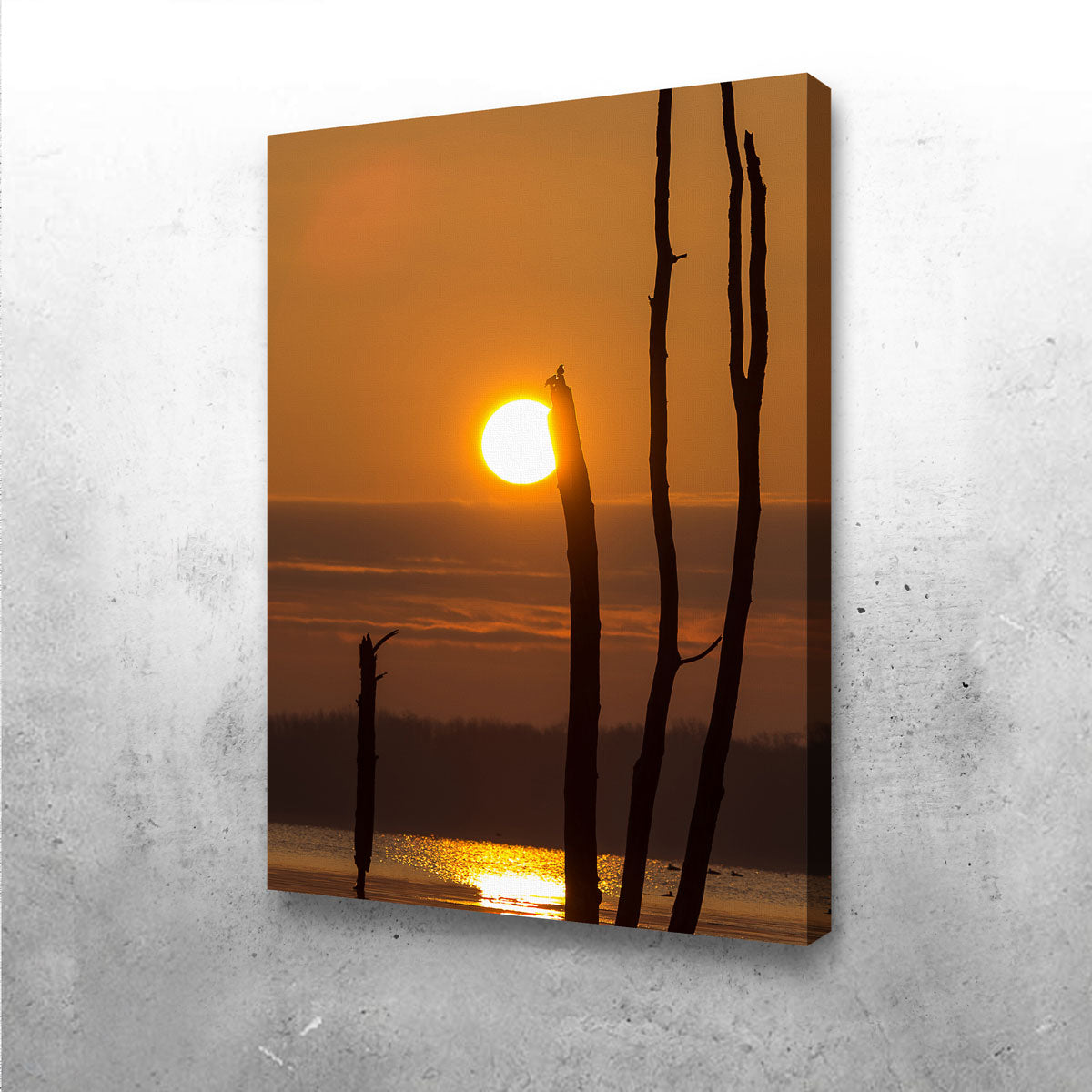Reflective Sun Wall Art