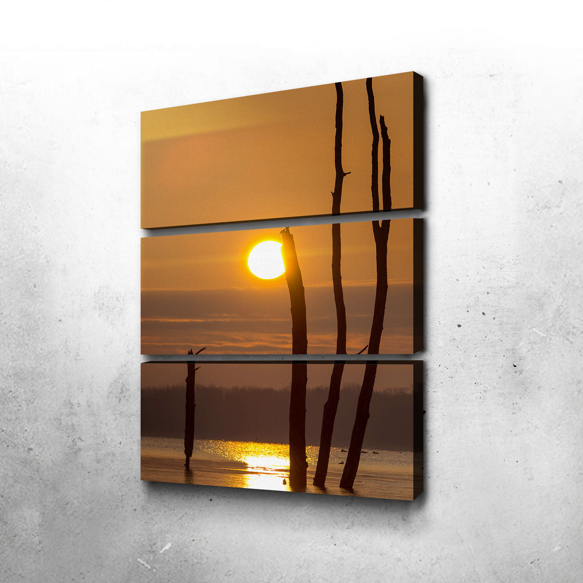 Reflective Sun Canvas Set
