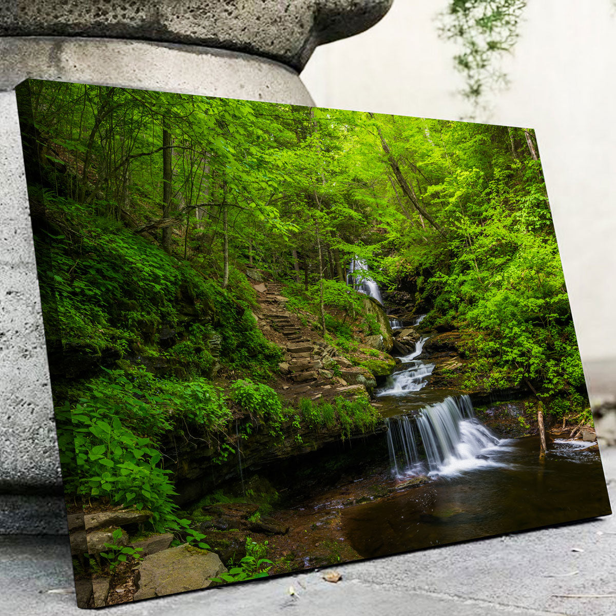 Ricketts Glen State Park Wall Art