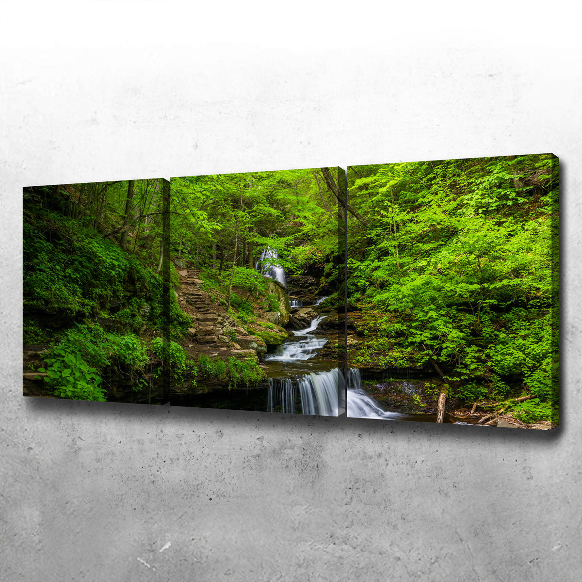 Ricketts Glen State Park Wall Art