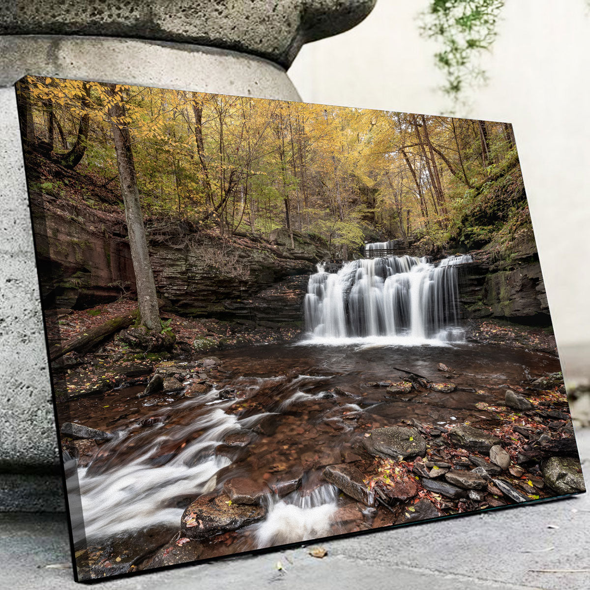 Who Loves Color Wall Art