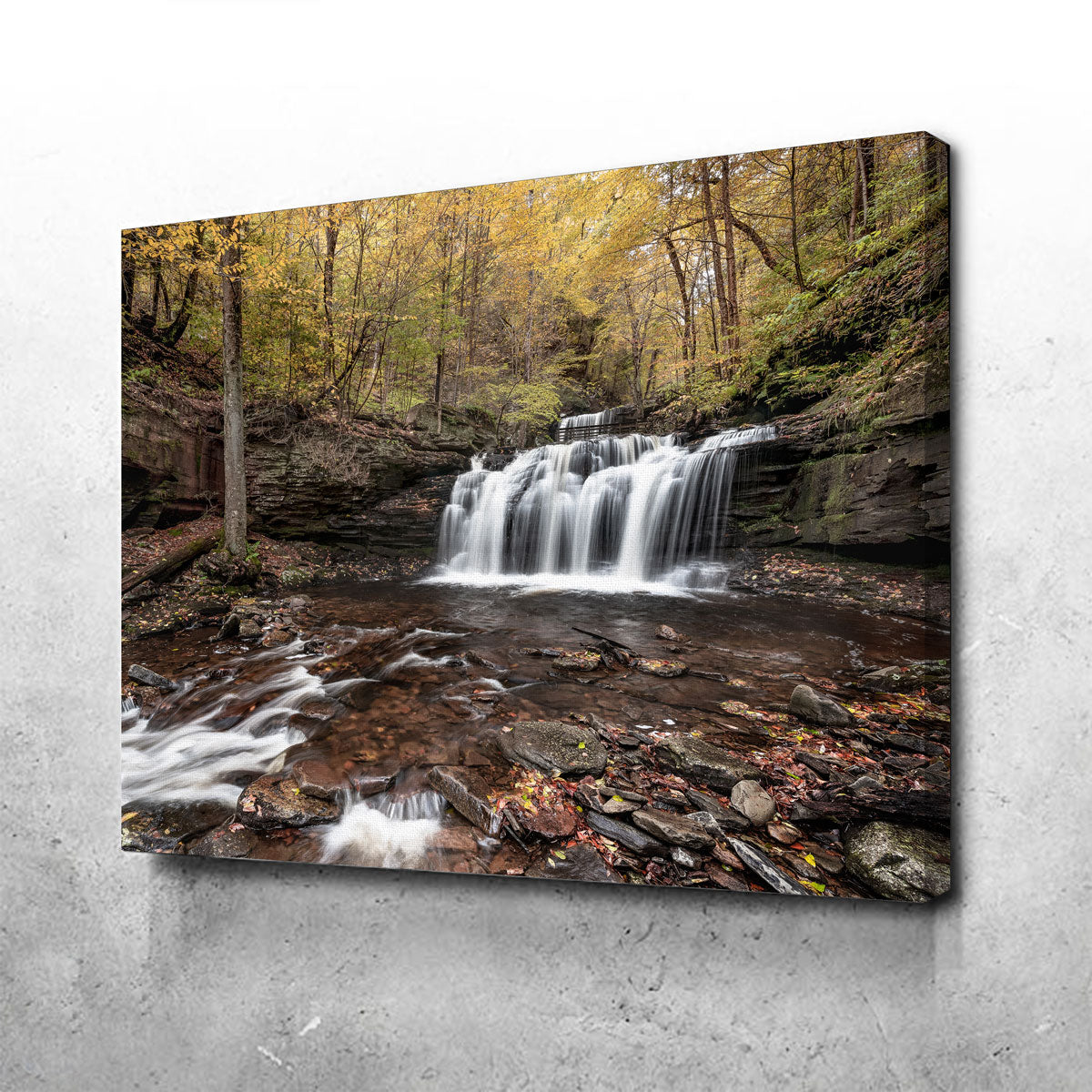 Who Loves Color Wall Art