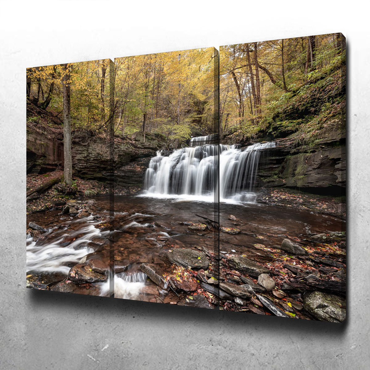 Who Loves Color Wall Art