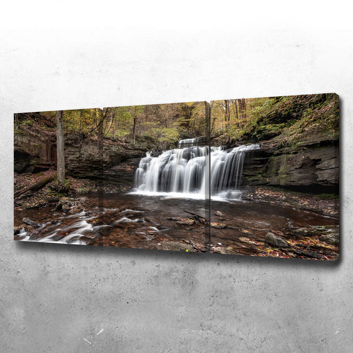 Who Loves Color Wall Art