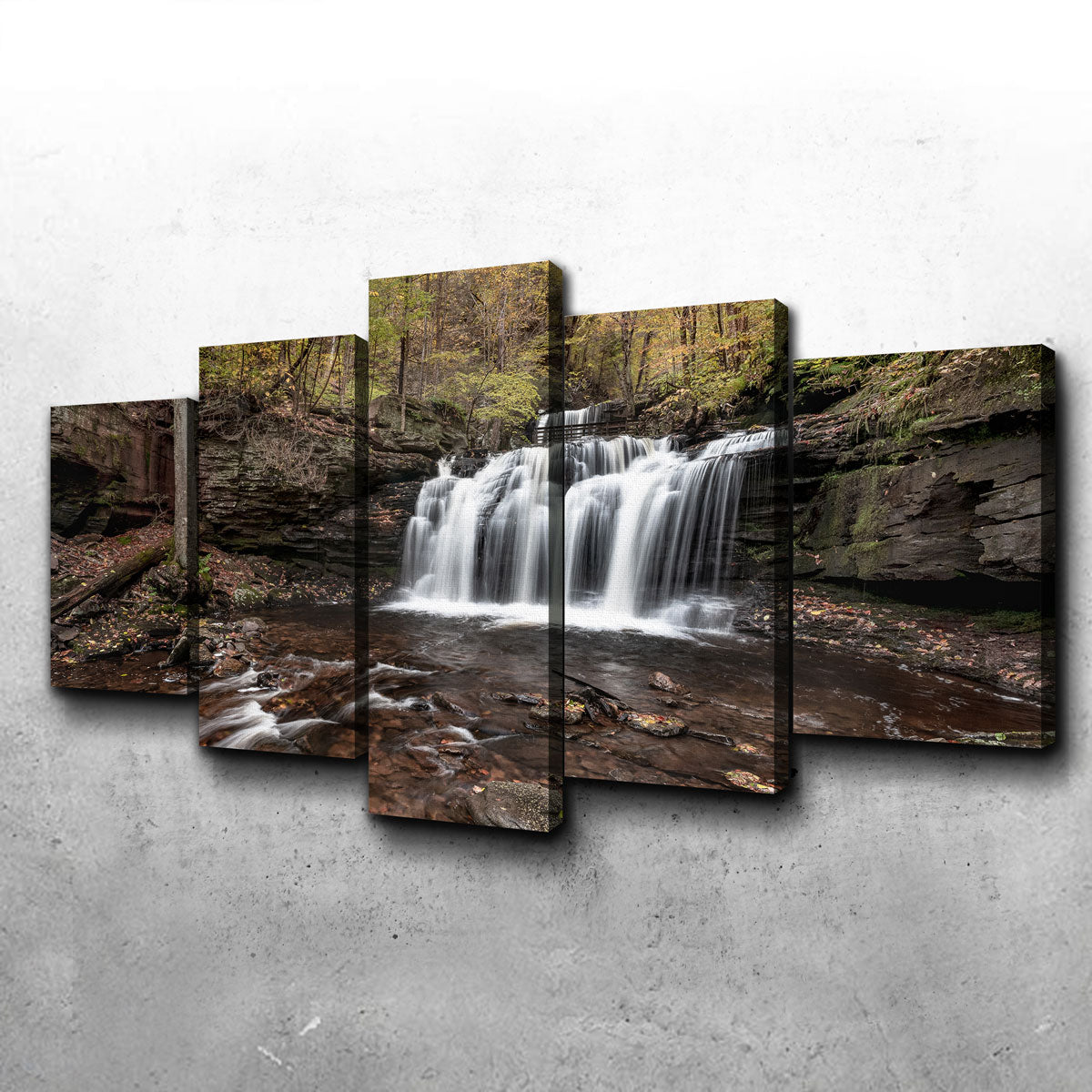 Who Loves Color Wall Art