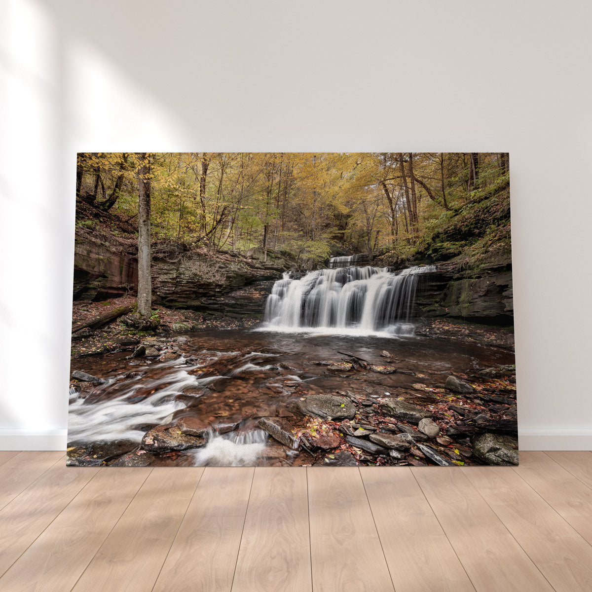 Who Loves Color Wall Art