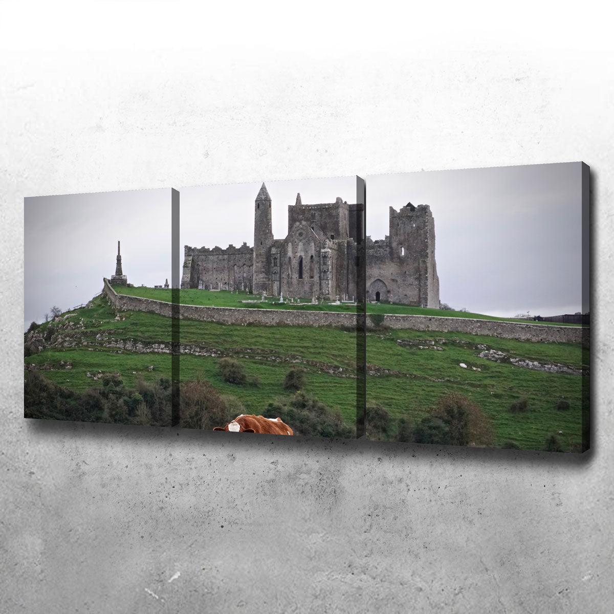 Rock of Cashel, Ireland Wall Art