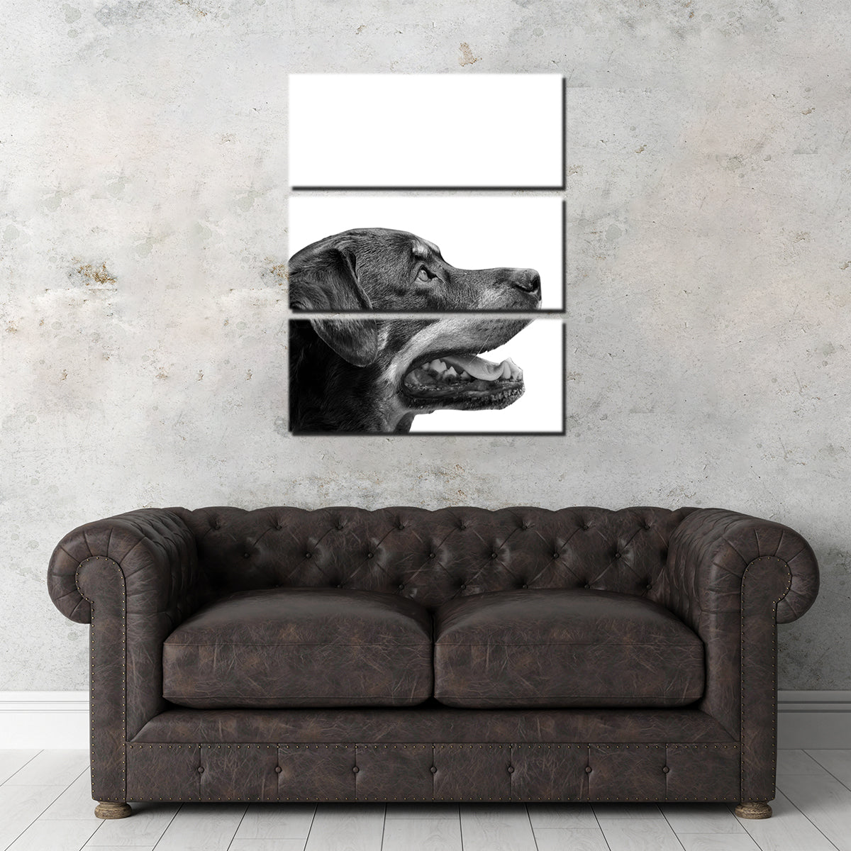 Rottweiler Dog Face