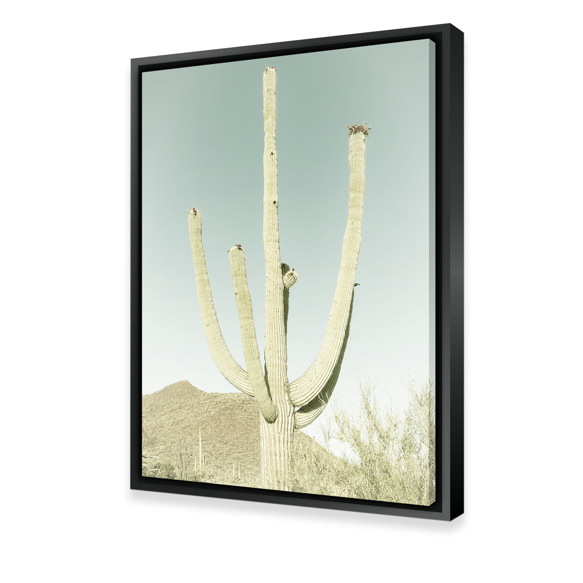 Saguaro National Park Giant Saguaro Wall Art
