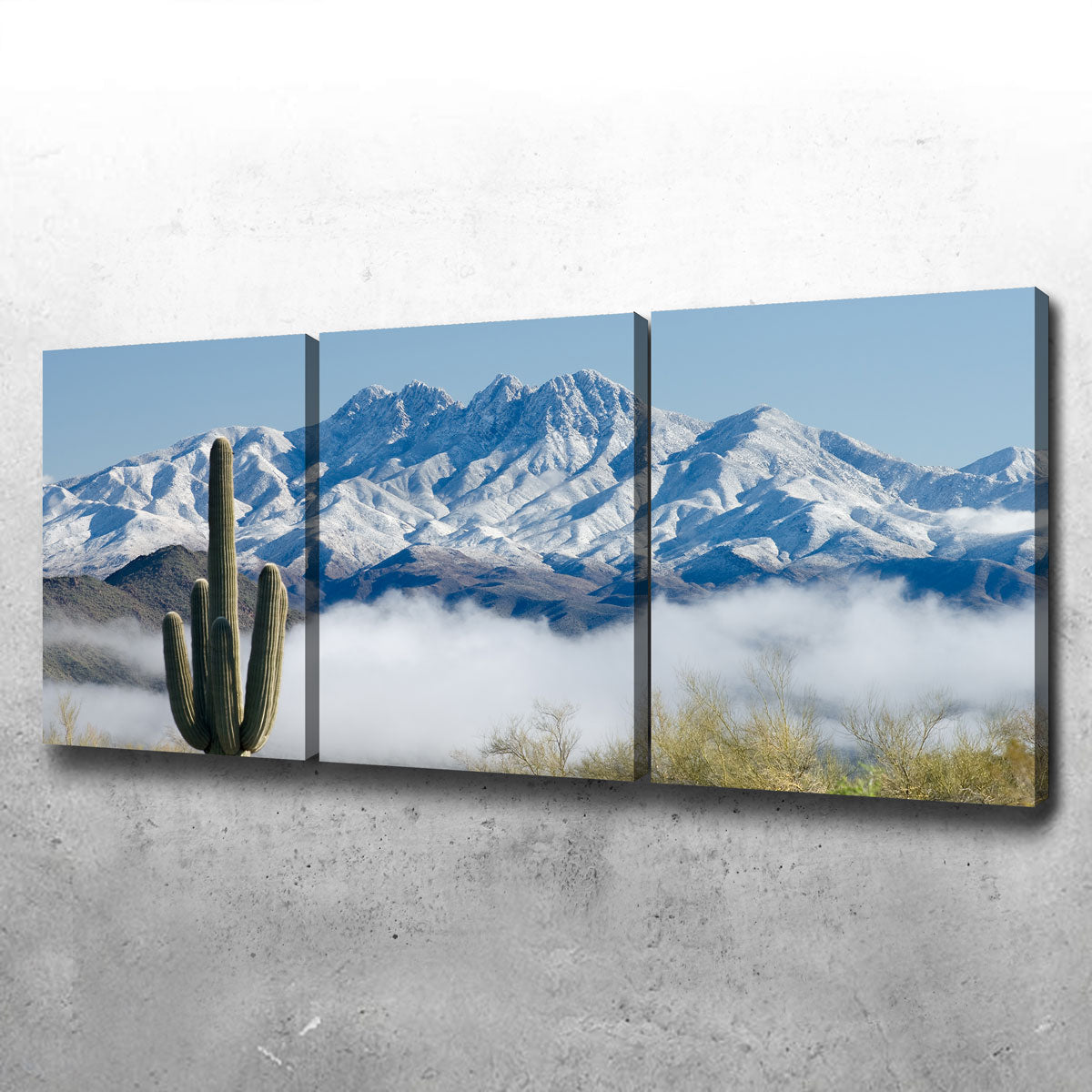 Saguaro and Four Peaks Wall Art
