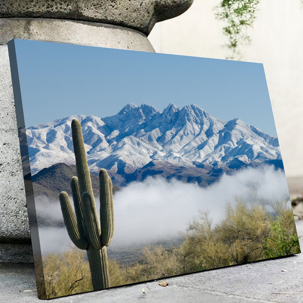 Saguaro and Four Peaks Wall Art