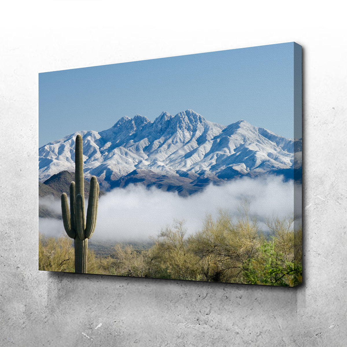 Saguaro and Four Peaks Wall Art