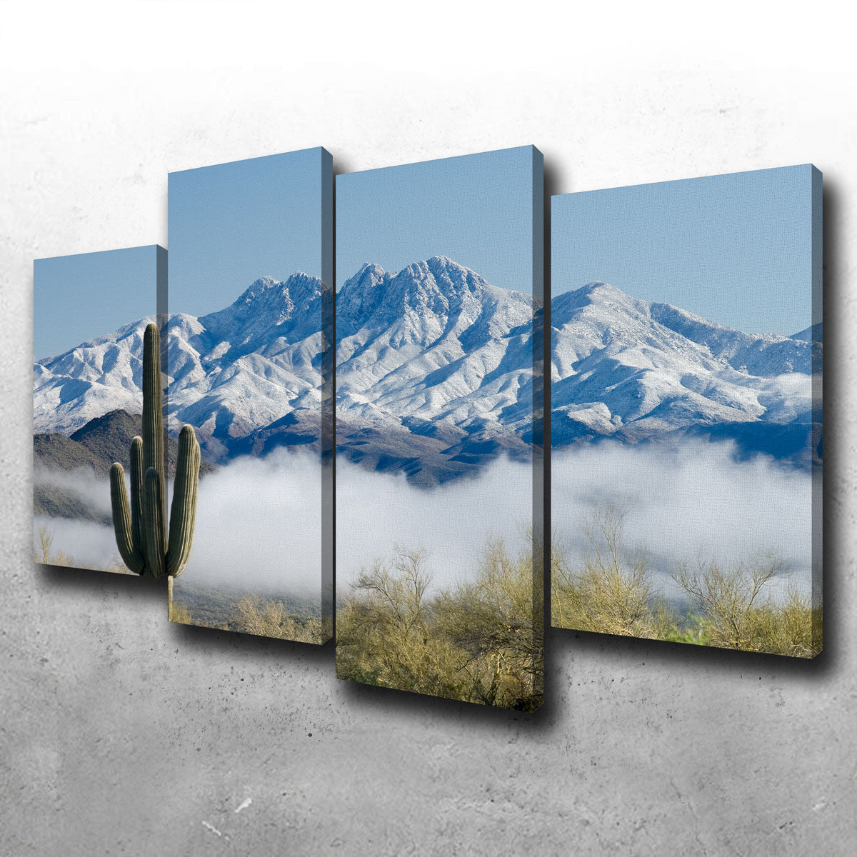 Saguaro and Four Peaks Wall Art