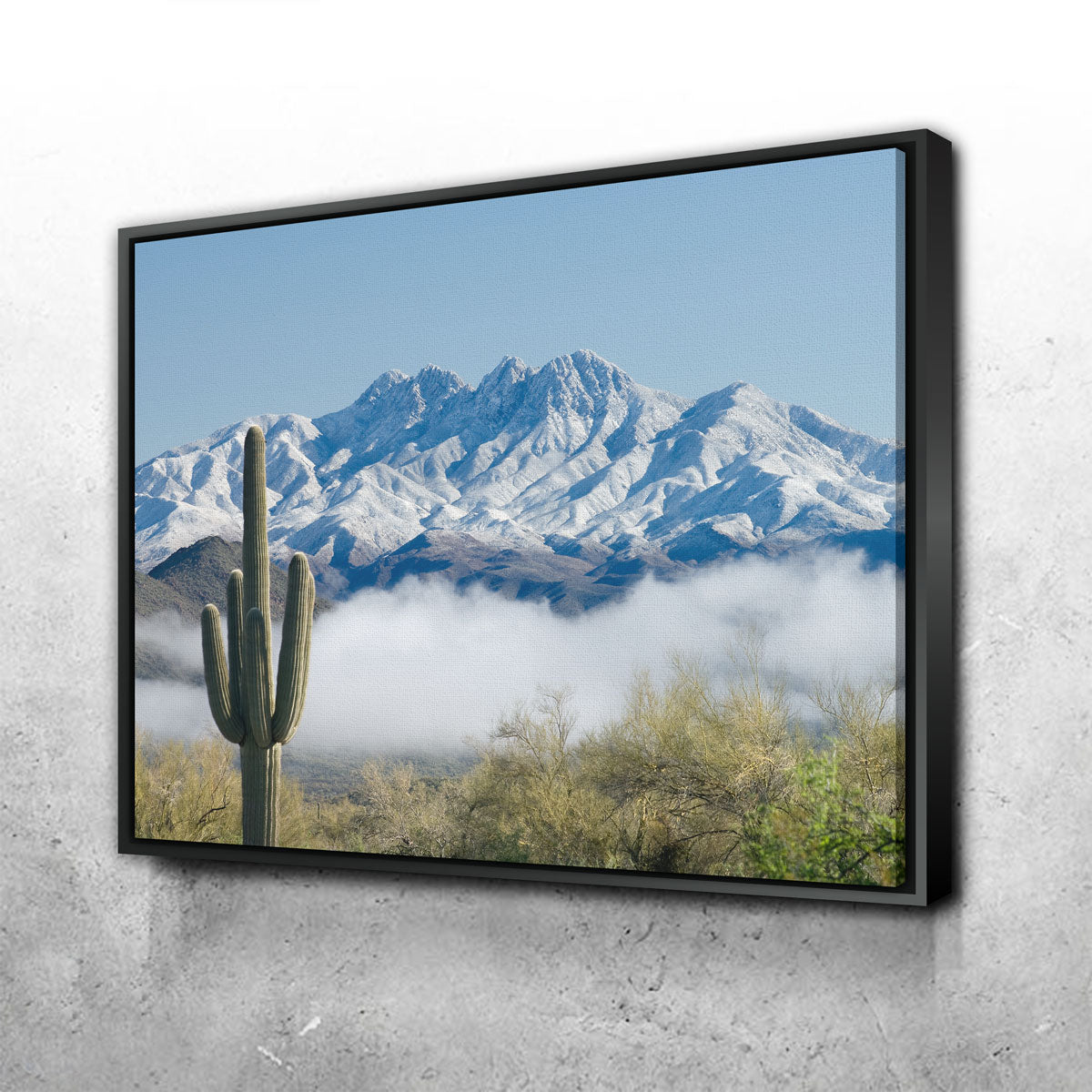 Saguaro and Four Peaks Wall Art