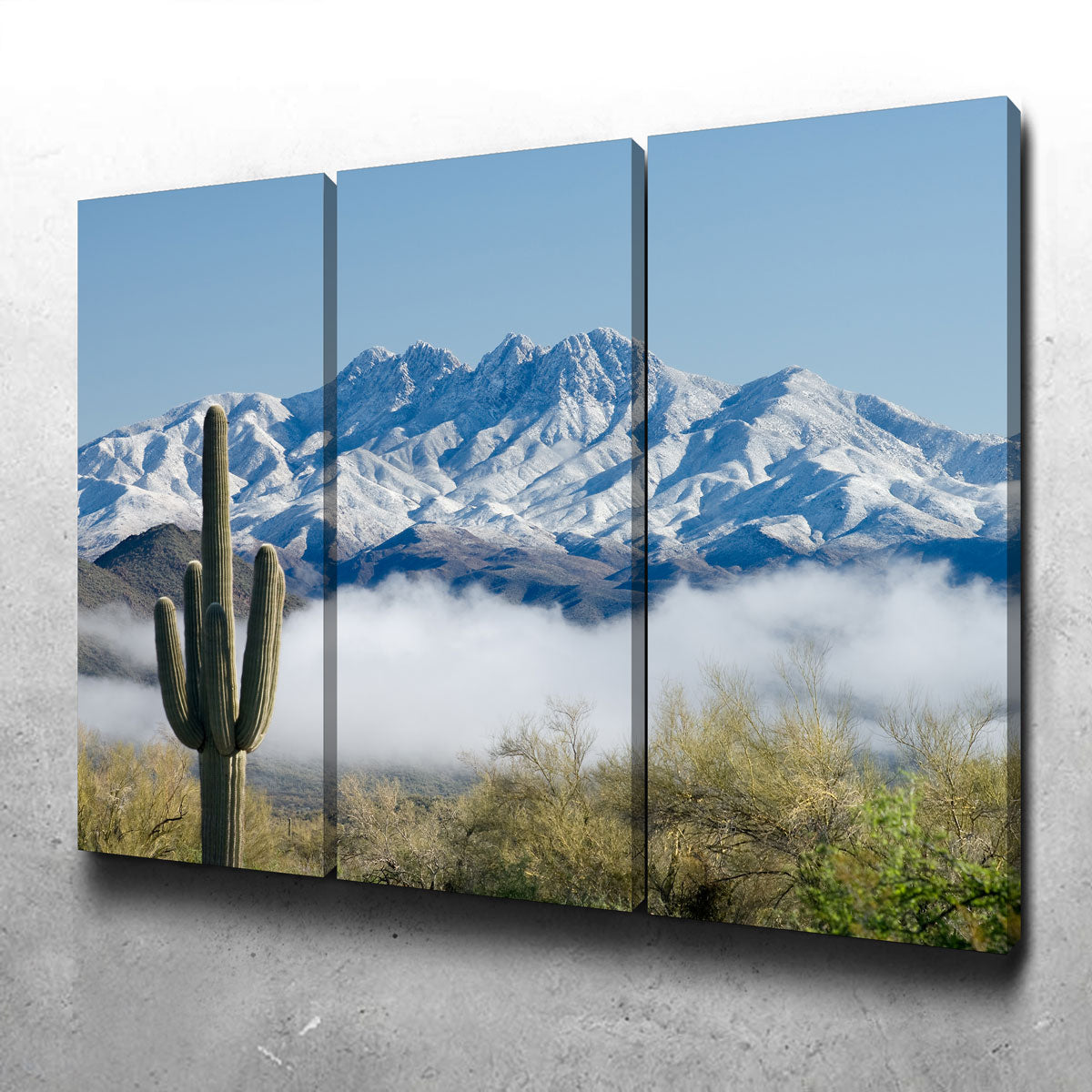 Saguaro and Four Peaks Wall Art