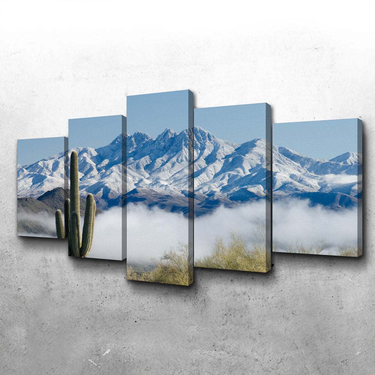 Saguaro and Four Peaks Wall Art