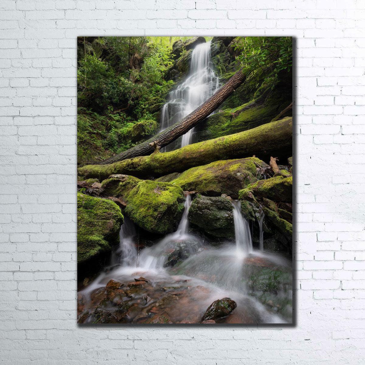 Salamander's Lair Wall Art
