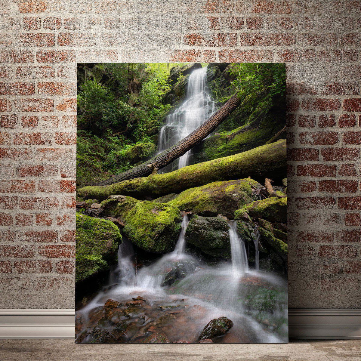 Salamander's Lair Wall Art