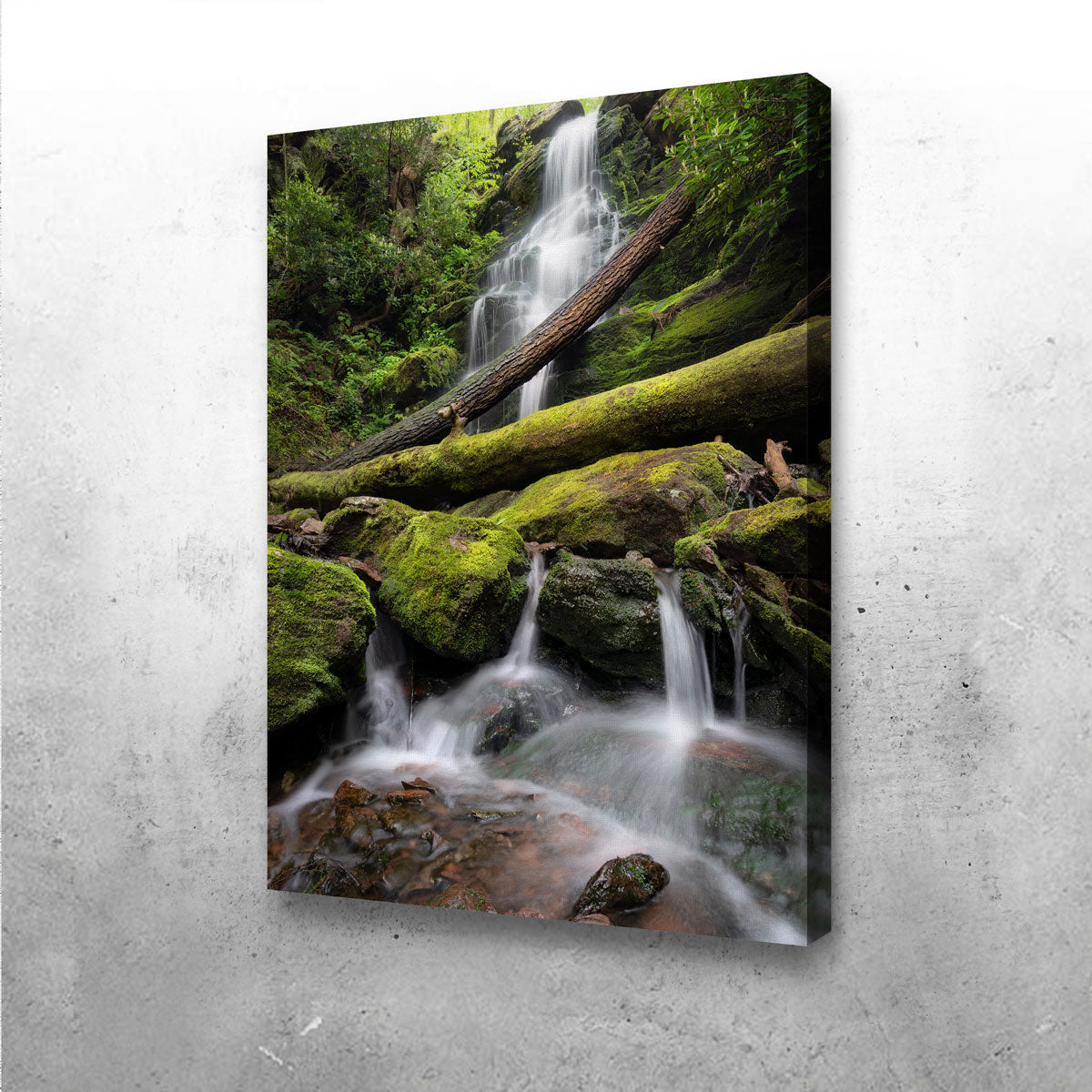 Salamander's Lair Wall Art