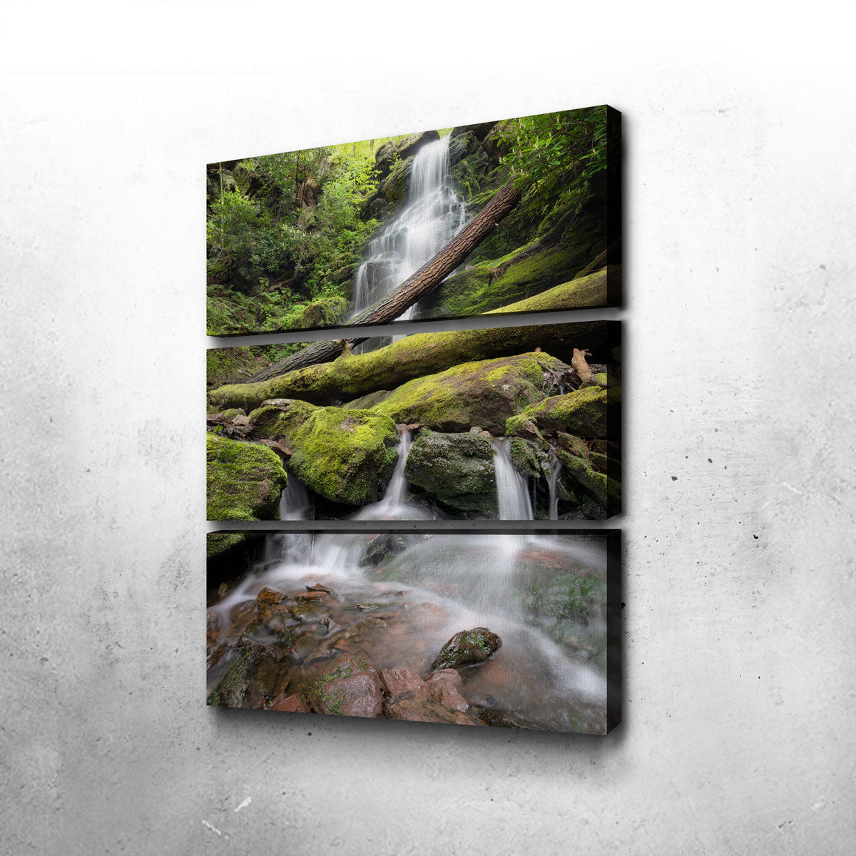 Salamander's Lair Wall Art
