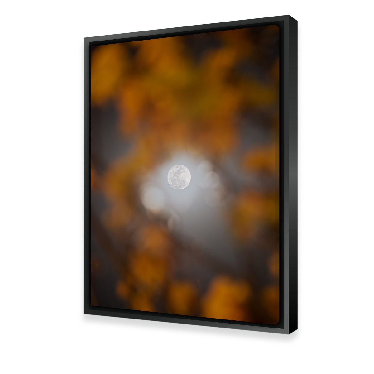 Selene and Yellow Ipê Wall Art